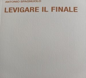 L’alambicco di thanatos e l’algoritmo della carne: pragmatica ed equilibri clinici in Levigare il finale di Antonio Spagnuolo di Ivan Pozzoni L’alambicco di thanatos e l’algoritmo della carne: pragmatica ed equilibri clinici in Levigare il finale di Antonio Spagnuolo di Ivan Pozzoni